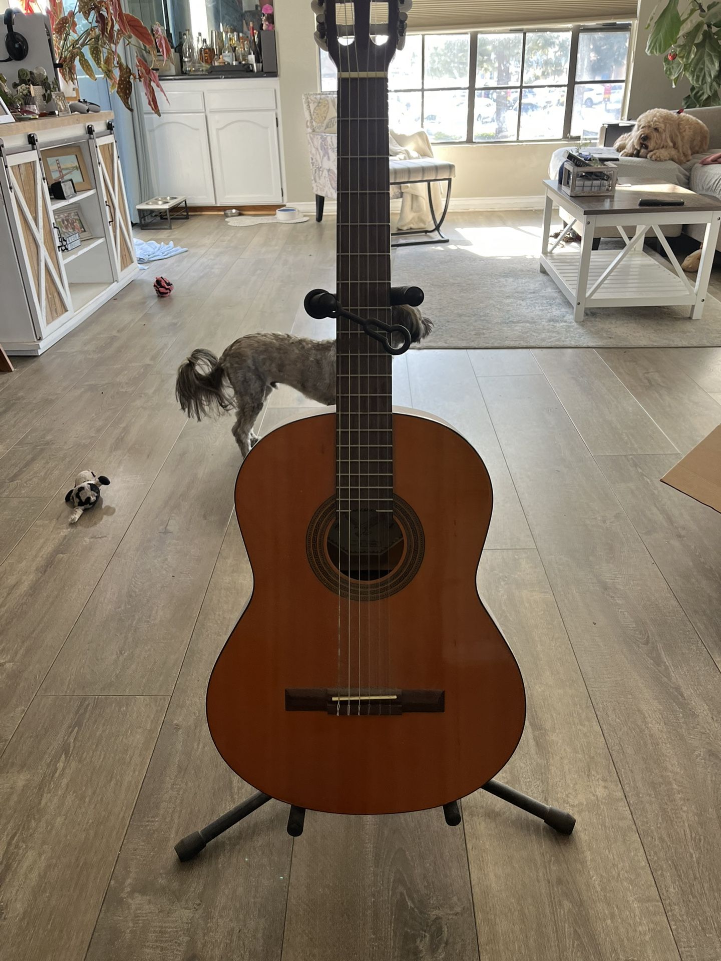2 Guitars 