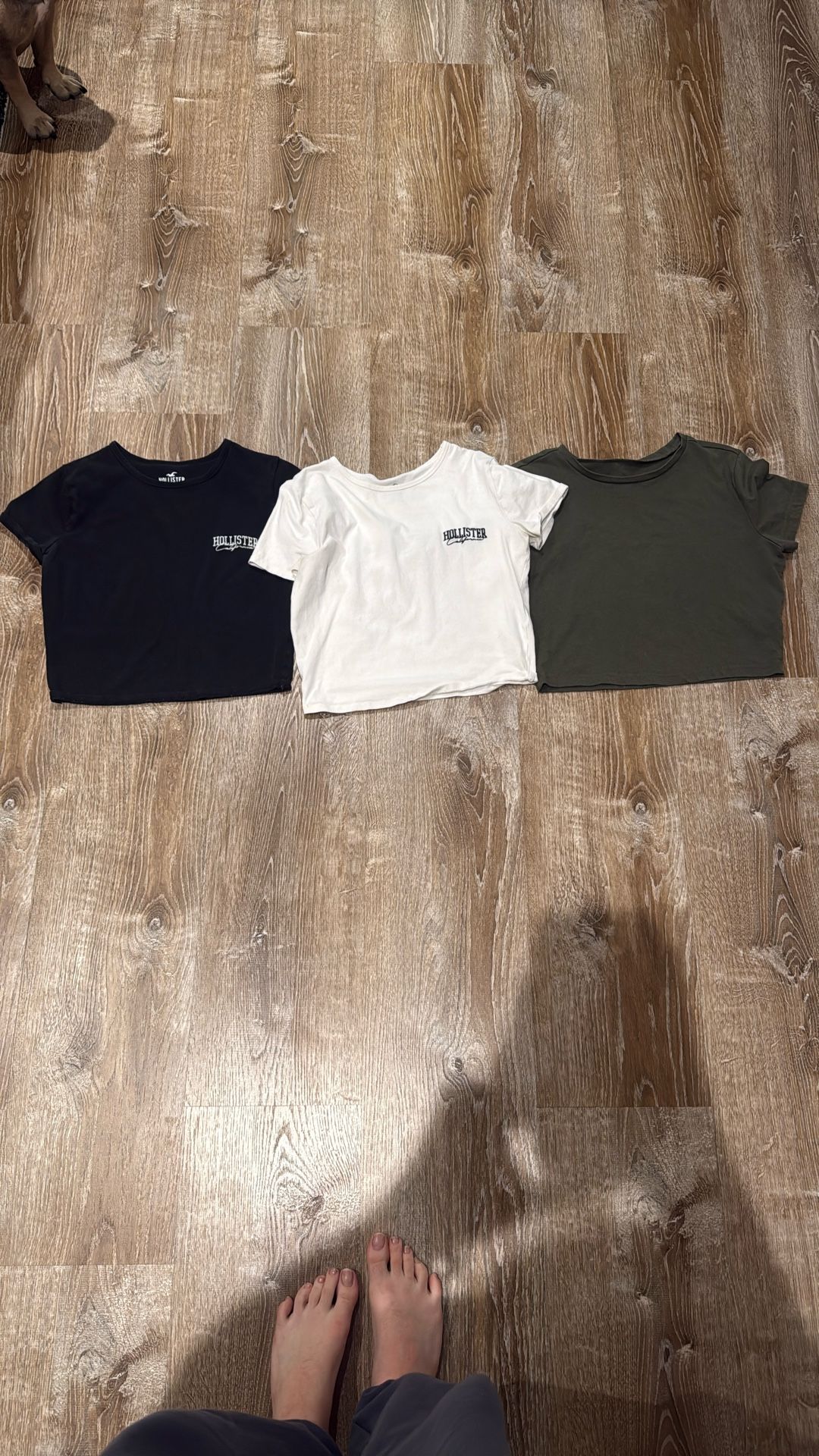 Girl Medium Shirts. 2 From Hollister 1 From Target 