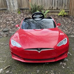 Radio Flyer Tesla Model S