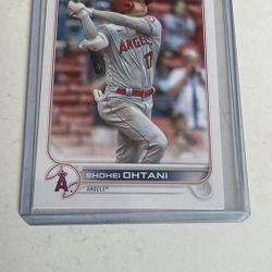 MLB Baseball Cards