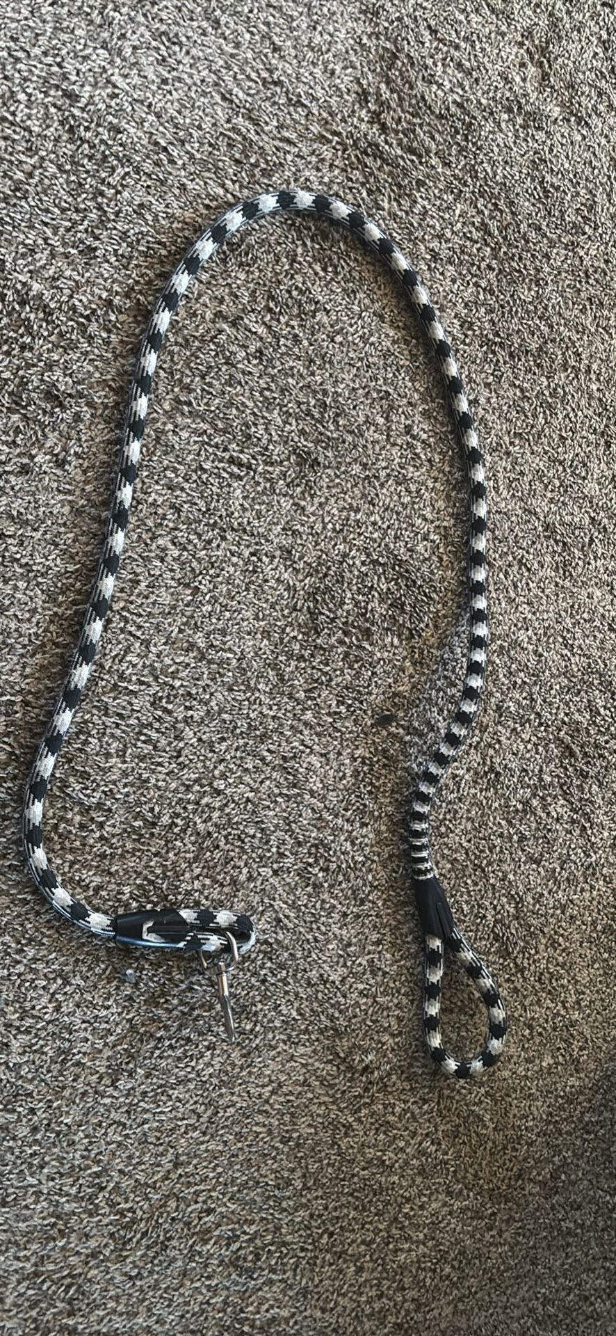 Dog Lead / Leash