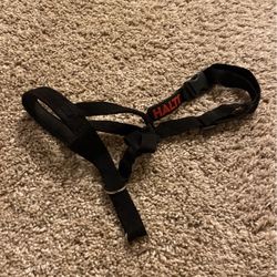 Dog Halti ( Head Halter) 