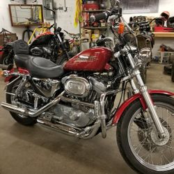 1993 Harley Davidson Sportster 883