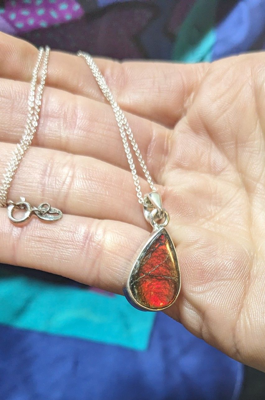 NWOT RARE Ammolite Fossil Gemstone Necklace Pendant