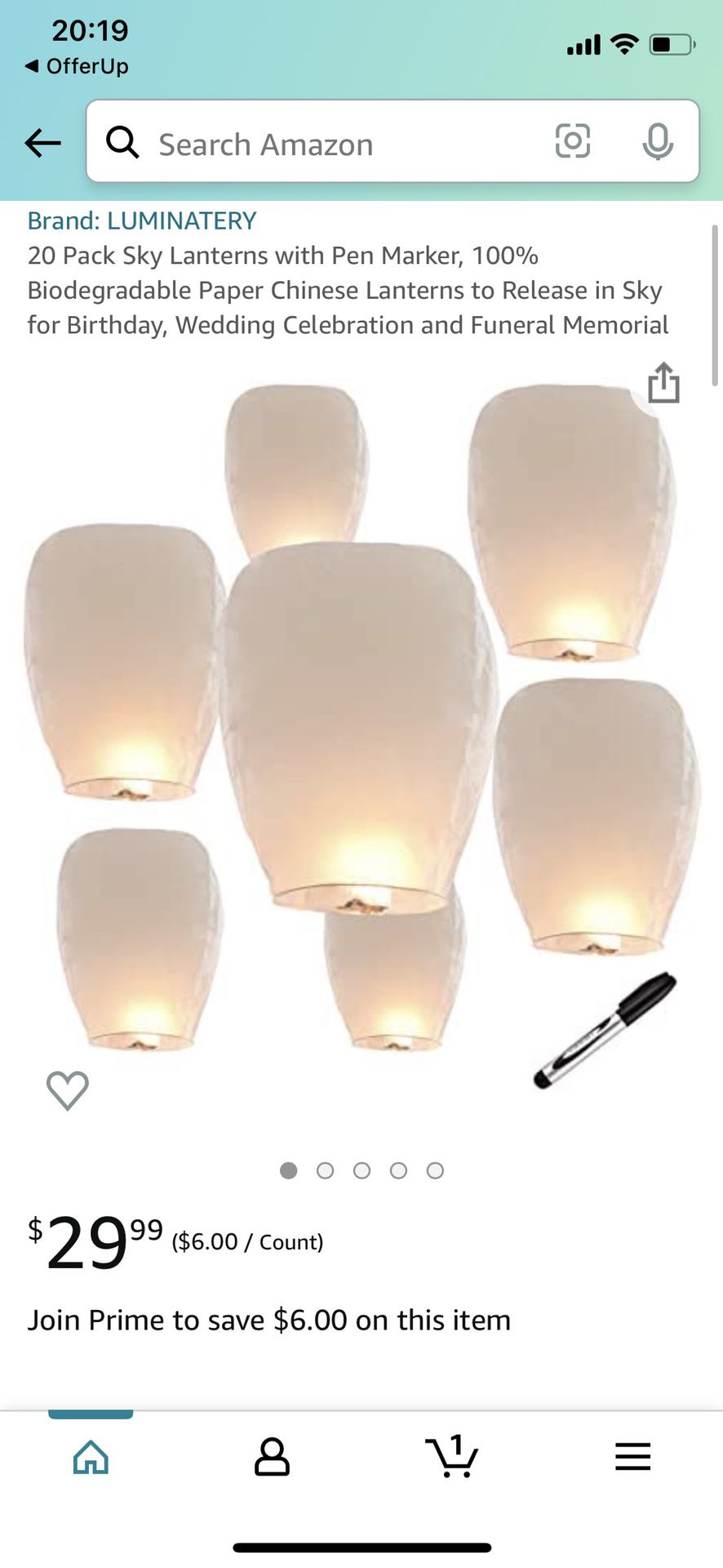 10 Pack Sky Lanterns with Pen Marker, 100% Biodegradable Paper Chinese Lanterns to Release in Sky for Birthday, Wedding Celebration and Funeral Memori