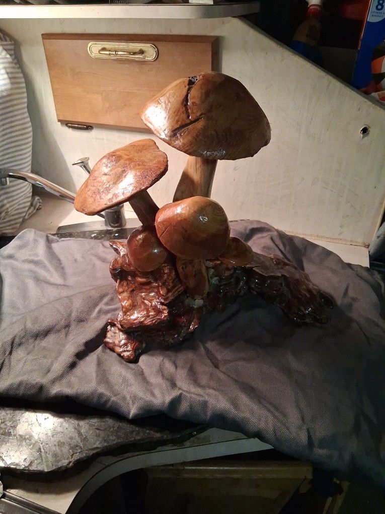 Mushroom Arrangement