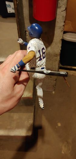 Chicago cubs