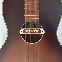 Record King Guitar