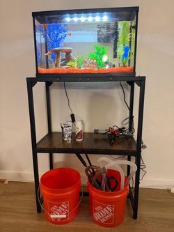 Aquarium Setup 10gal + Metal Stand & Supplies (Moving Sale!)