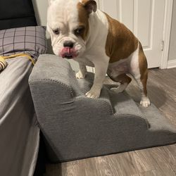 Soft Doggy Stairs 
