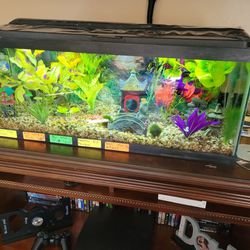Autorisatie welzijn Kruiden Aqueon Glass Aquarium Tank 20 Gallon Long Complete With Accessories for  Sale in Burbank, CA - OfferUp