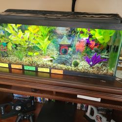 Autorisatie welzijn Kruiden Aqueon Glass Aquarium Tank 20 Gallon Long Complete With Accessories for  Sale in Burbank, CA - OfferUp