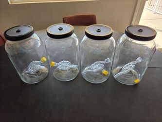 Fermentation Jars - 1 Gallon w\air lock - NIB Qty 4