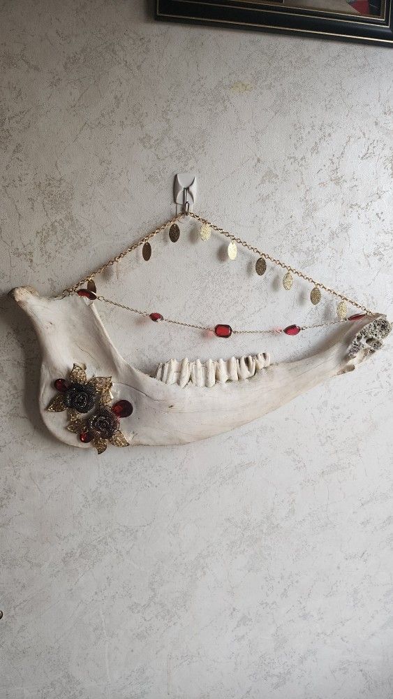 Cow Bone Wall Art