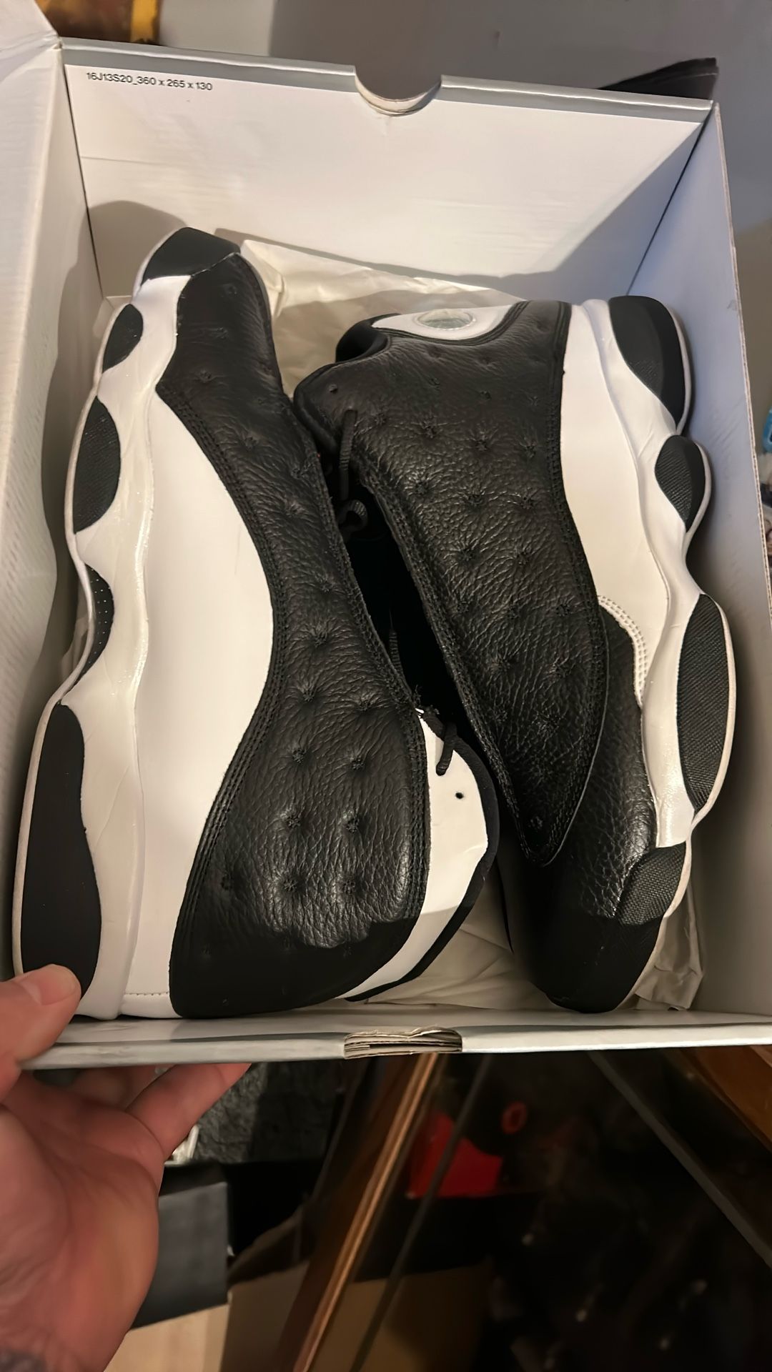 Jordan 13 Alternate Playoffs 