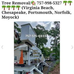 Tree Work 