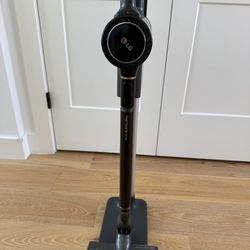 LG CordZero™ Cordless Stick Vacuum (A916BM) with Extra Battery and Accessories