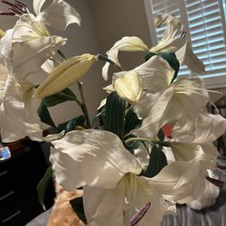 Beautiful Bouquet Of Cream White Casa Blanca Lillies 