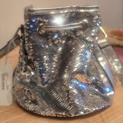 Silver Sequin Purse