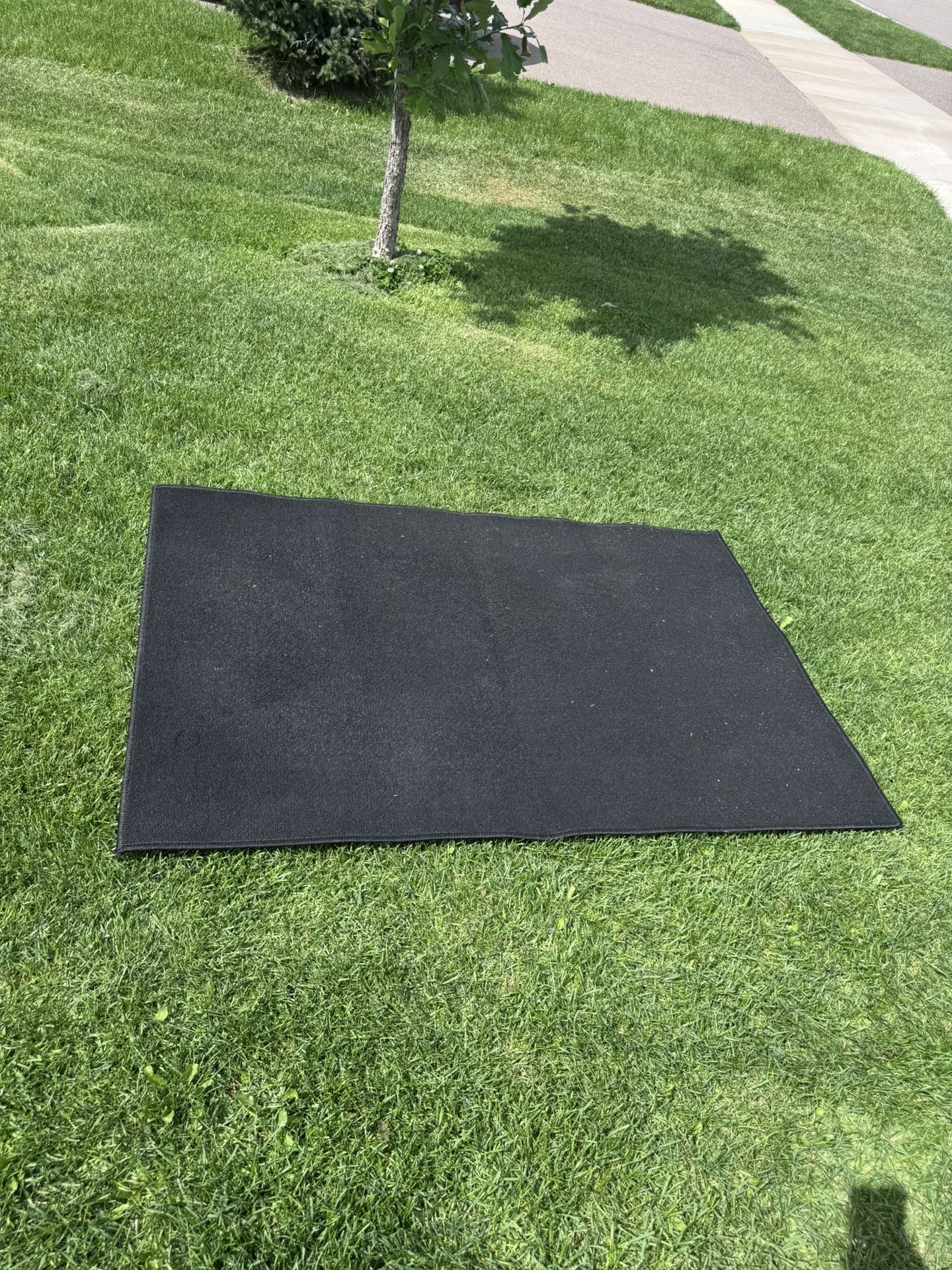 Area Rug