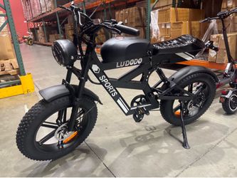Motorcycle electric bicycle