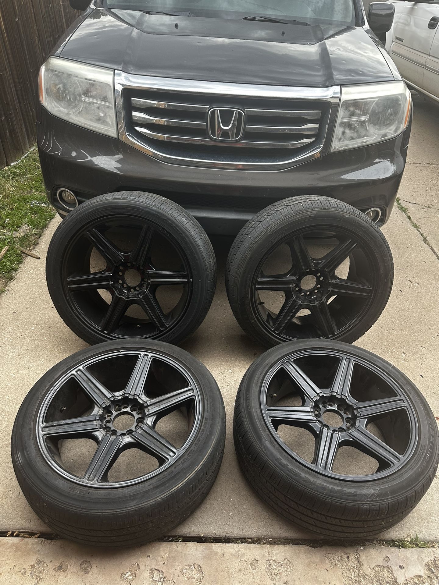 20in Panther Rims