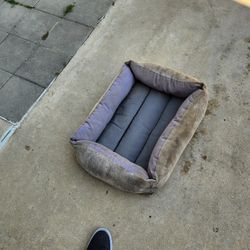 Cat or small dog sleeper