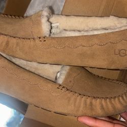 UGG Slippers 