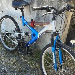 Bicycle/ Bicicleta