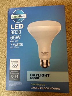 LED BR30 / 65 watt bulbs