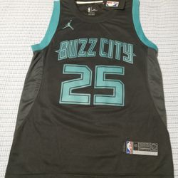 100% AUTHENTIC Men's Nike Jordan BUZZ CITY Charlotte Hornets Swingman NBA City Edition Jersey size Small BRAND NEW TAGS  $25 FIRM