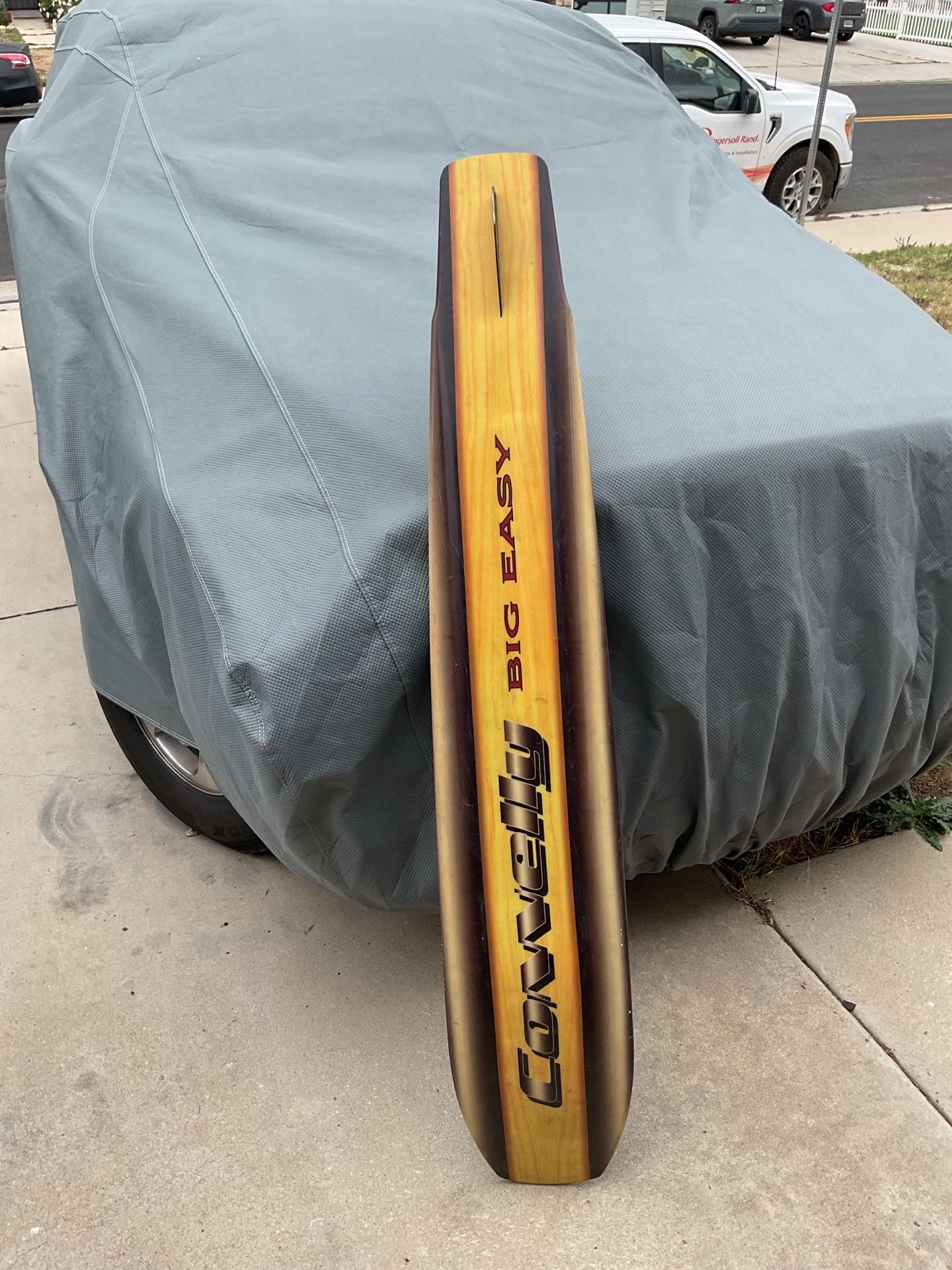 Large single water ski big easy