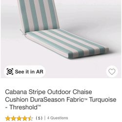 Lounge Patio Chair Cushions (2)