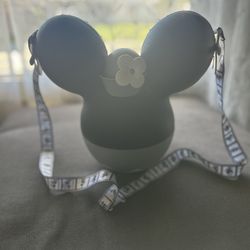 Disney popcorn bucket