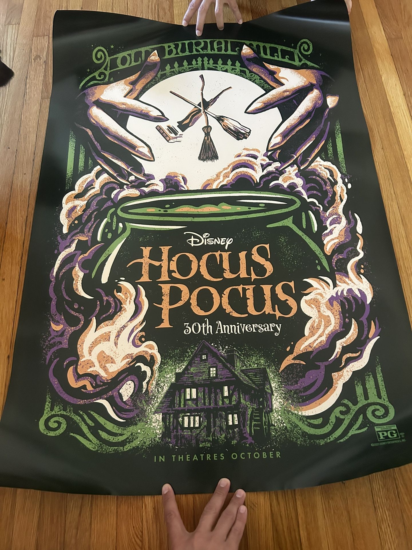 $25 Hocus Pocus 30th Anniversary Poster