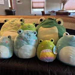 Squishmallow Frog Lot