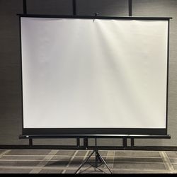100" inch Projector Screen