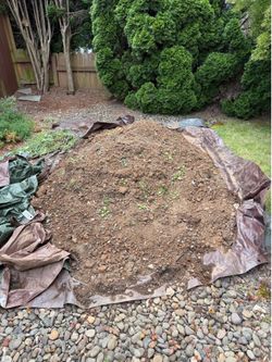 Fill Dirt- Free