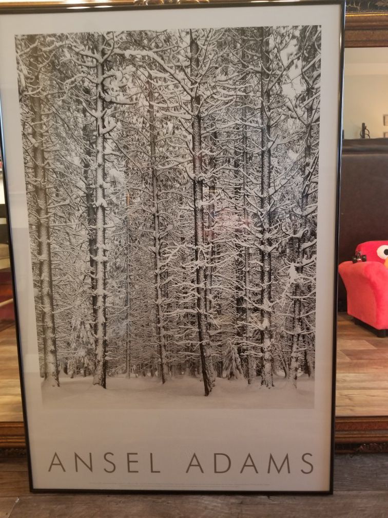Ansel Adams photograph, white winter forest framed