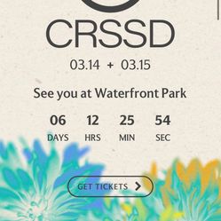 CRSSD 2 Day Festival Ticket