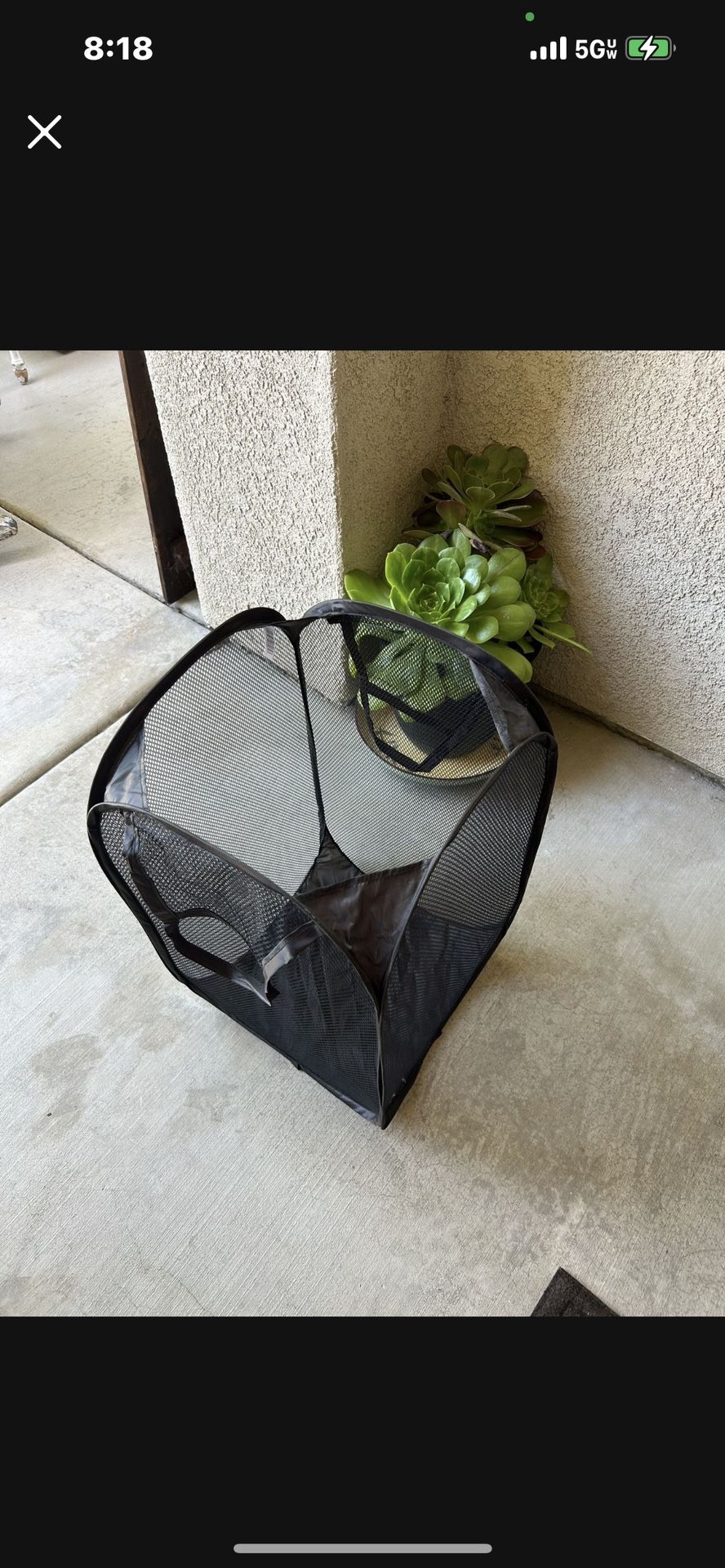 Folding Laundry Basket