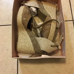 Style : BG-SASHAS Brand New ( Size 9.5 M / USA )