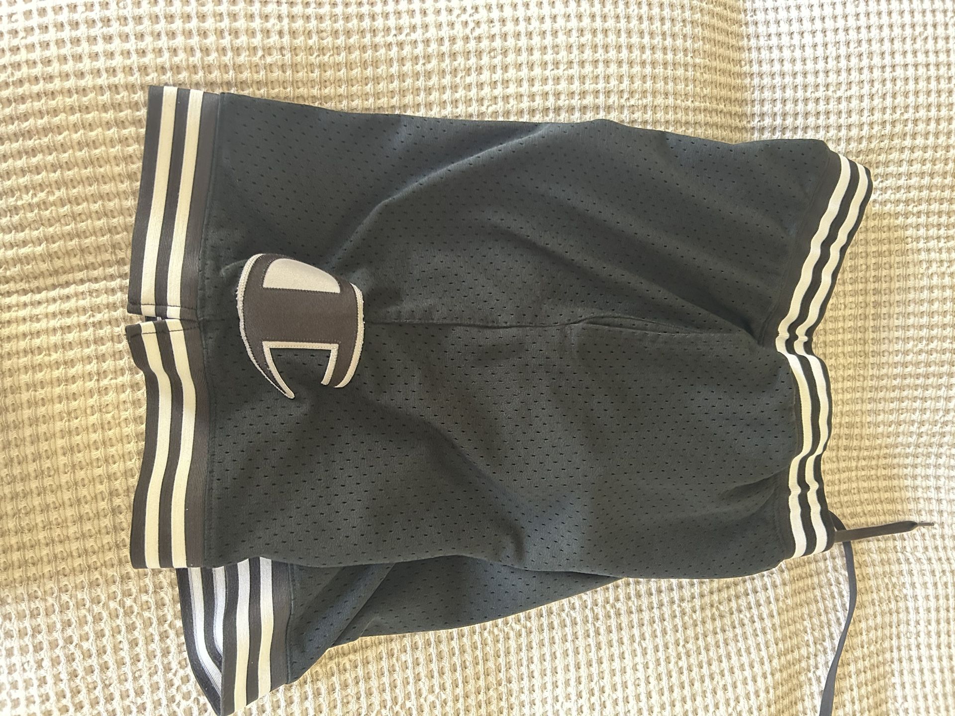 Champion Shorts