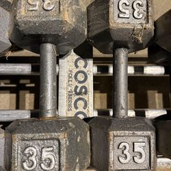 35 lbs dumbbells weights