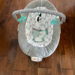 Baby Rocker $15
