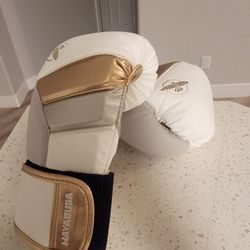 Hayabusa 12oz Boxing Gloves 