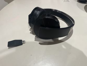 Sony Platinum Headset 