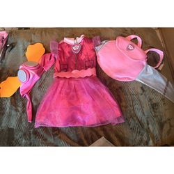 Skye Paw Patrol Costume