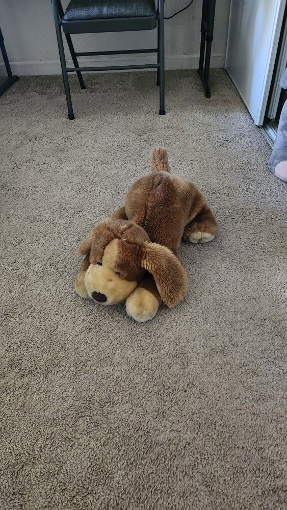 Stuffed Dog