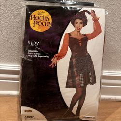 Hocus Pocus Costume - Mary